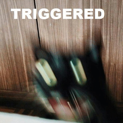 3GGERED.gif