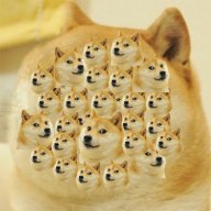 doge2.jpg