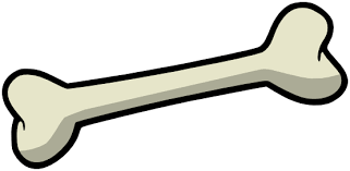 download.png