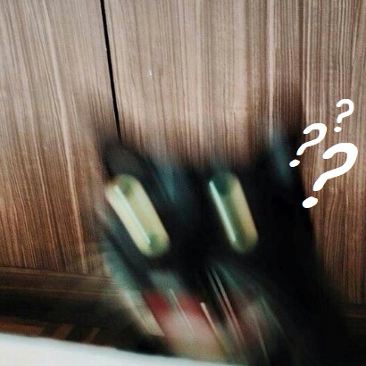 Triggered Kitty Meme (Question Mark).jpg