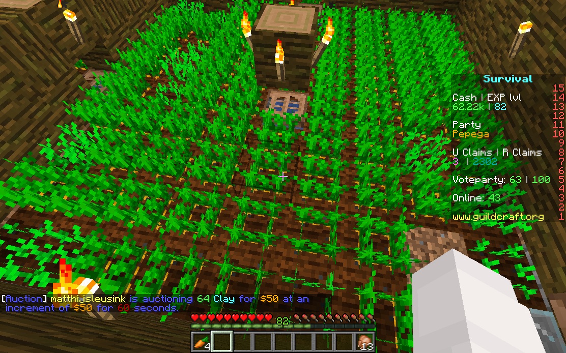 villagers despawn.jpg