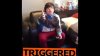 TRIGGERED.jpg