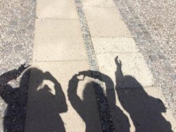Myshadow