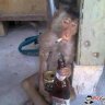 DrunkinMunkey904