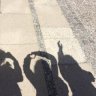 Myshadow