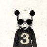 t0rguin