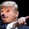 ImApvpNoob
