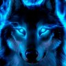 ProWolf28
