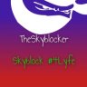 TheSkyblocker