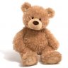 TheTeddy99