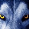 Wolfleader02
