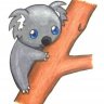 TheKoala