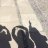 Myshadow