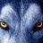 Wolfleader02
